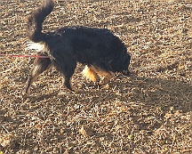 A_B_C Trainingswochenende_Oktober_2024_018-20241014-091505