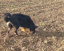 A_B_C Trainingswochenende_Oktober_2024_019-20241014-091505