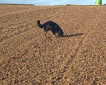 A_B_C Trainingswochenende_Oktober_2024_021-20241014-091505