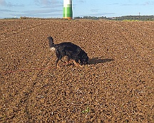 A_B_C Trainingswochenende_Oktober_2024_022-20241014-091505