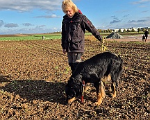 A_B_C Trainingswochenende_Oktober_2024_023-20241014-091505