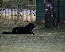 Fun_Pokal_2024_FD1A0453-20240818-141008