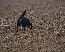 Herbstpruefung_Oktober_2024_006-20241027-181022