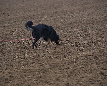 Herbstpruefung_Oktober_2024_007-20241027-181022