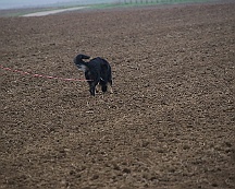 Herbstpruefung_Oktober_2024_008-20241027-181022