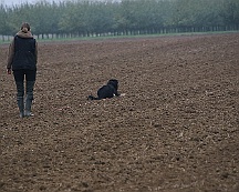 Herbstpruefung_Oktober_2024_010-20241027-181022