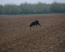 Herbstpruefung_Oktober_2024_012-20241027-181022