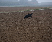 Herbstpruefung_Oktober_2024_014-20241027-181022