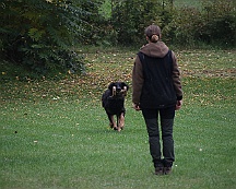 Herbstpruefung_Oktober_2024_043-20241027-181022