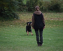 Herbstpruefung_Oktober_2024_044-20241027-181022