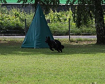 Schutzdienstwochenende_Juli_2024_FD1A8569