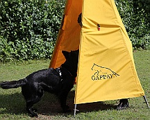 Schutzdienstwochenende_Juli_2024_FD1A8572