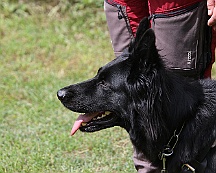 Schutzdienstwochenende_Juli_2024_FD1A8573