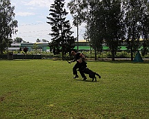 Schutzdienstwochenende_Juli_2024_FD1A8576