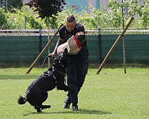 Schutzdienstwochenende_Juli_2024_FD1A8578