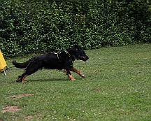 Schutzdienstwochenende_Juli_2024_FD1A8590