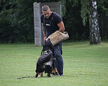 Schutzdienstwochenende_Juli_2024_FD1A8597