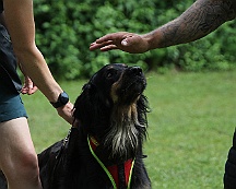 Schutzdienstwochenende_Juli_2024_FD1A8601