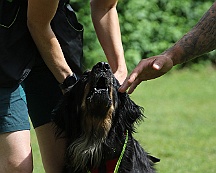 Schutzdienstwochenende_Juli_2024_FD1A8602