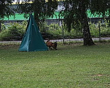 Schutzdienstwochenende_Juli_2024_FD1A8607