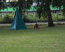 Schutzdienstwochenende_Juli_2024_FD1A8608