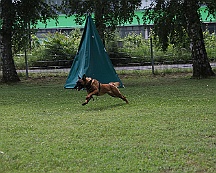 Schutzdienstwochenende_Juli_2024_FD1A8613