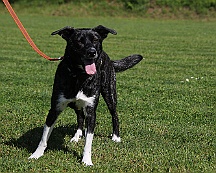 Trainingswochenende_B_C_Mai_2024_FD1A8092