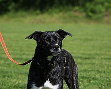 Trainingswochenende_B_C_Mai_2024_FD1A8093