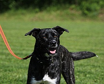 Trainingswochenende_B_C_Mai_2024_FD1A8094