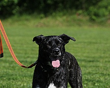 Trainingswochenende_B_C_Mai_2024_FD1A8098