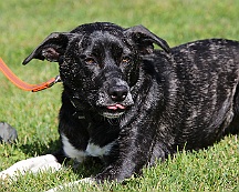 Trainingswochenende_B_C_Mai_2024_FD1A8099