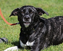 Trainingswochenende_B_C_Mai_2024_FD1A8100