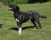 Trainingswochenende_B_C_Mai_2024_FD1A8102