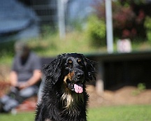 Trainingswochenende_B_C_Mai_2024_FD1A8116