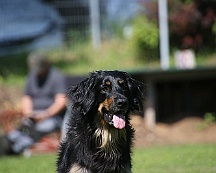 Trainingswochenende_B_C_Mai_2024_FD1A8117