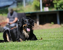 Trainingswochenende_B_C_Mai_2024_FD1A8120