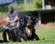 Trainingswochenende_B_C_Mai_2024_FD1A8124