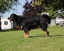 Trainingswochenende_B_C_Mai_2024_FD1A8125