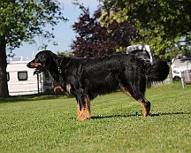 Trainingswochenende_B_C_Mai_2024_FD1A8126