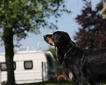 Trainingswochenende_B_C_Mai_2024_FD1A8129