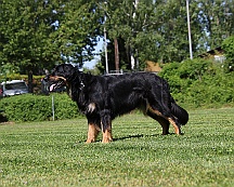 Trainingswochenende_B_C_Mai_2024_FD1A8134