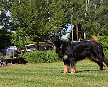 Trainingswochenende_B_C_Mai_2024_FD1A8141