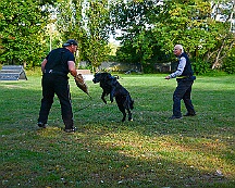 ABC_Trainingswochenende_Oktober_2025_DSC_7320-20251019