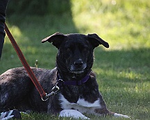 B_C_Trainingswochenende_Mai_2025_FD1A3109-20250501