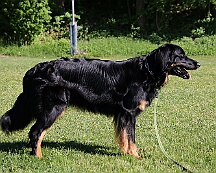 B_C_Trainingswochenende_Mai_2025_FD1A3120-20250501