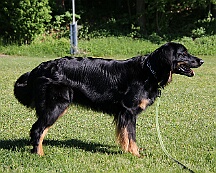 B_C_Trainingswochenende_Mai_2025_FD1A3122-20250501