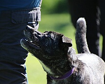 B_C_Trainingswochenende_Mai_2025_FD1A3132-20250501