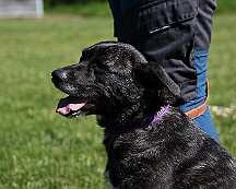 B_C_Trainingswochenende_Mai_2025_FD1A3133-20250501