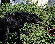 C_Trainingswochenende_2025_FD1A3914-20250531-094505