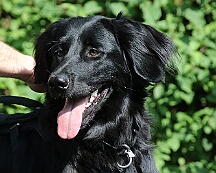 C_Trainingswochenende_2025_FD1A3916-20250531-094600